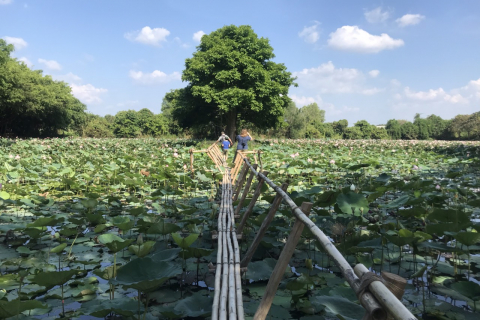 Mekong Secret Part: Cai Be Village and Xeo Quyt Forest Full Day