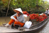 South_Vietnam_Tour_Package_5_Days1