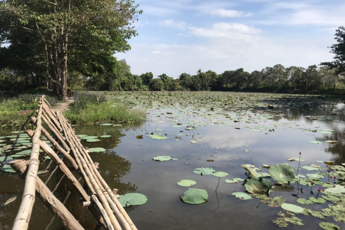 Mekong Secret Part: Cai Be Village and Xeo Quyt Forest Full Day
